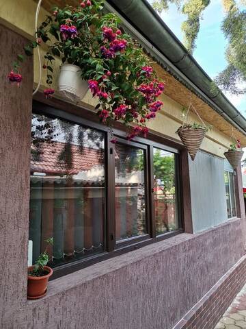 Фото Гостевой дом Casa Raducu г. Нэводари 1